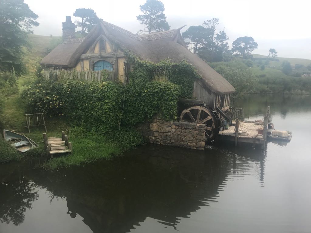 WhatsApp Image 2018-01-15 at 21.35.22