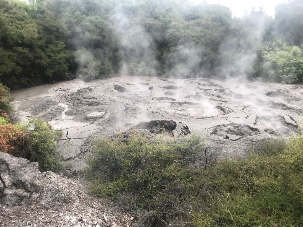 WhatsApp Image 2018-01-15 at 21.43.03 (2)