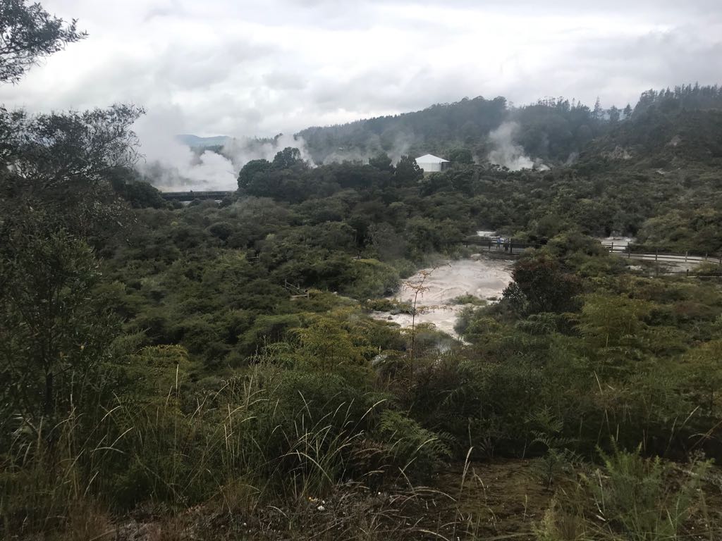 WhatsApp Image 2018-01-15 at 21.43.03