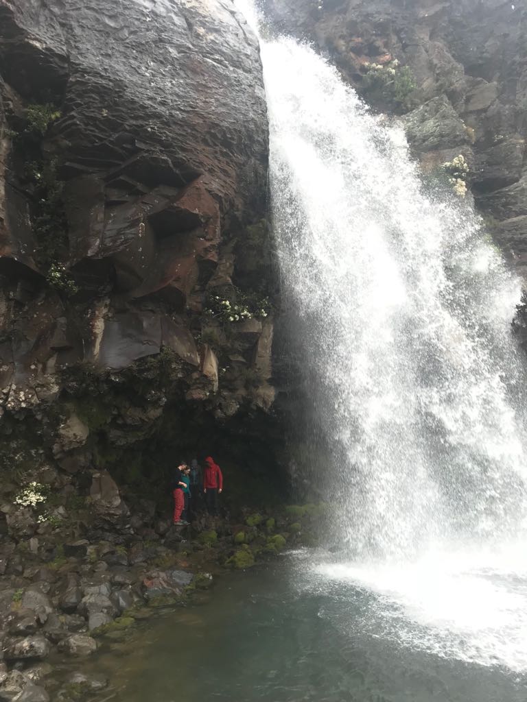 WhatsApp Image 2018-01-15 at 21.58.03